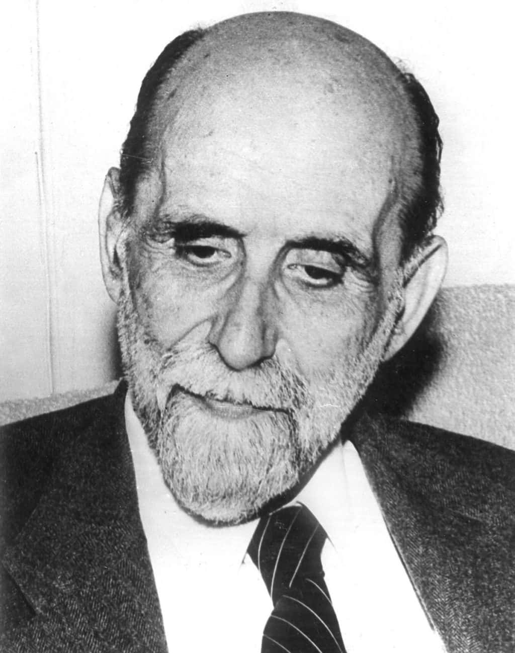 Foto Wikipedia 3