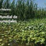 DÍA MUNDIAL DE LOS HUMEDALES