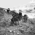 89 AÑOS DEL DÍA QUE JUAN LINK ALCANZA POR PRIMERA VEZ LA CIMA DEL ACONCAGUA