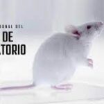 DÍA INTERNACIONAL DEL ANIMAL DE LABORATORIO