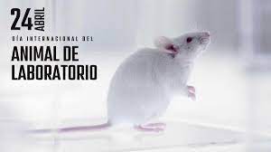 Foto Revista Marketing